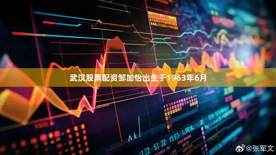 武汉股票配资邹加怡出生于1963年6月
