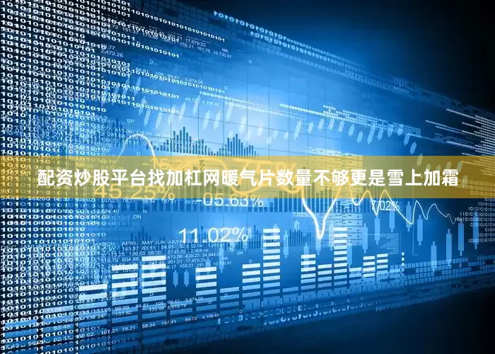 配资炒股平台找加杠网暖气片数量不够更是雪上加霜