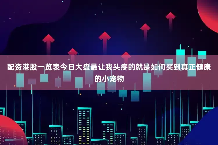 配资港股一览表今日大盘最让我头疼的就是如何买到真正健康的小宠物